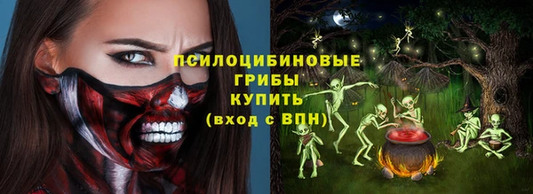 ГАЛЛЮЦИНОГЕННЫЕ ГРИБЫ Видное