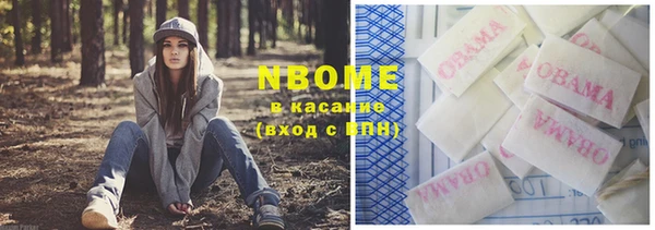 соль ск Весьегонск