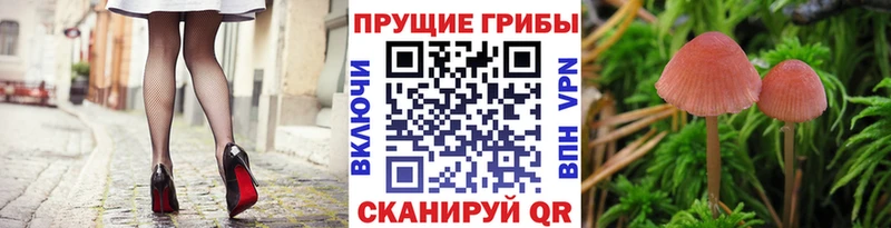 Псилоцибиновые грибы Magic Shrooms  цены наркотик  Мостовской 